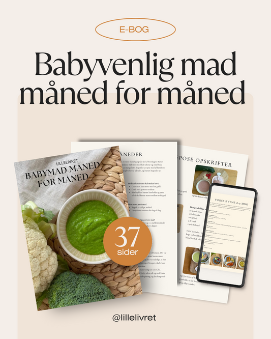 E-bog: Babymad måned for måned